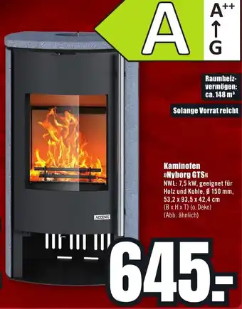 B1 Discount Baumarkt Kaminofen Nyborg GTS Angebot