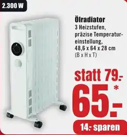 B1 Discount Baumarkt Ölradiator Angebot