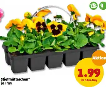 PENNY Stiefmütterchen Angebot