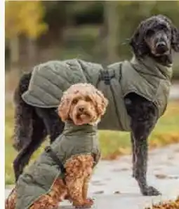 Pflanzen Kölle Trixie Hundemantel Minot Angebot