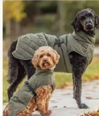 Pflanzen Kölle Trixie Hundemantel Minot Angebot