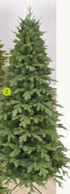 Pflanzen Kölle Kunst-Tanne Sherwood Slim Angebot