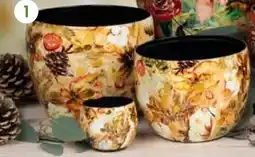 Pflanzen Kölle Metalltopf Cotton Cream Angebot