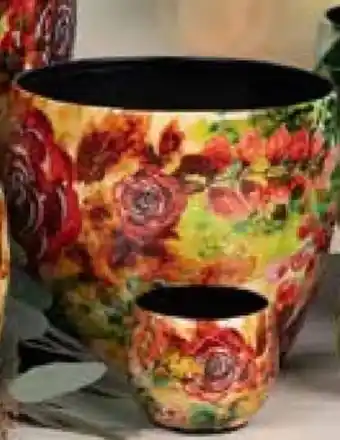 Pflanzen Kölle Metalltopf Rose Rouge Angebot