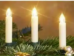 Pflanzen Kölle LED Mini-Kerzen Angebot