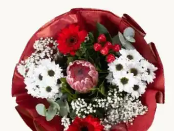 Pflanzen Kölle Strauß Lucia Angebot