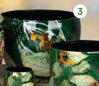 Pflanzen Kölle Metalltopf Bee Green Angebot