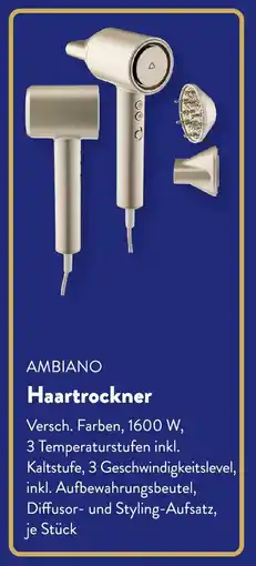 Aldi Süd AMBIANO Haartrockner Angebot