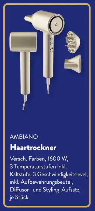Aldi Süd AMBIANO Haartrockner Angebot