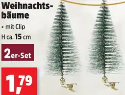 Thomas Philipps Weihnachtsbäume Angebot