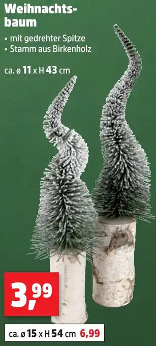 Thomas Philipps Weihnachtsbaum Angebot