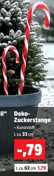 Thomas Philipps Deko Zuckerstange Angebot
