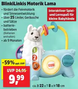 Thomas Philipps BlinkiLinkis Motorik Lama Angebot
