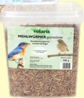 Thomas Philipps Volaris Mehlwürmer Angebot