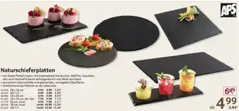 Selgros APS Naturschieferplatten Angebot