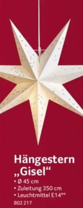 Selgros Hängestern ,,Gisel" Angebot