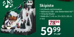 Selgros Skipiste Angebot