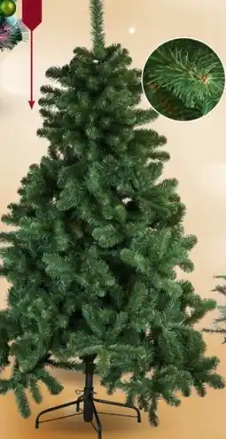 Selgros Baum ,,Tuscan❝ Angebot