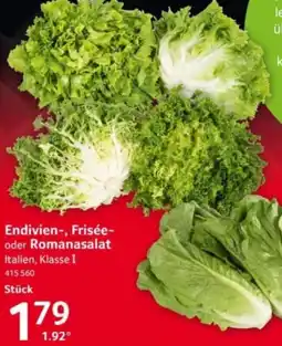 Selgros Endivien-, Frisée- oder Romanasalat Angebot