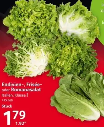Selgros Endivien-, Frisée- oder Romanasalat Angebot