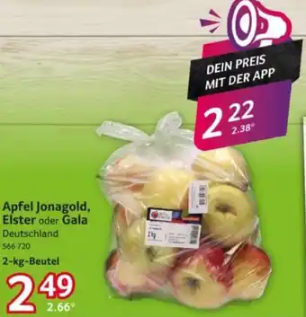 Selgros Apfel Jonagold, Elster oder Gala Angebot