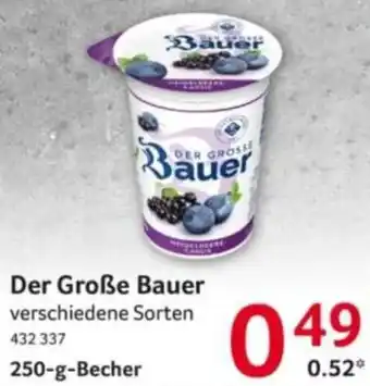 Selgros Der Große Bauer Angebot