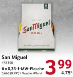 Selgros San Miguel Angebot