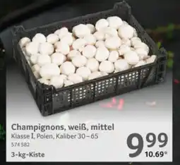 Selgros Champignons, weiß, mittel Angebot
