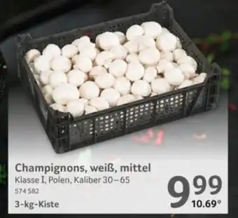 Selgros Champignons, weiß, mittel Angebot