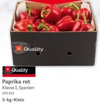 Selgros Paprika rot Angebot