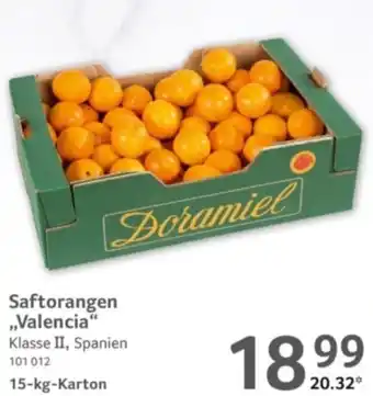 Selgros Saftorangen „Valencia" Angebot