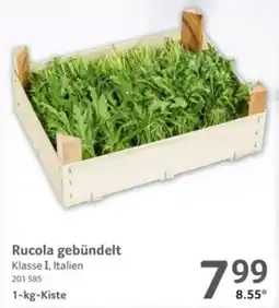 Selgros Rucola gebündelt Angebot