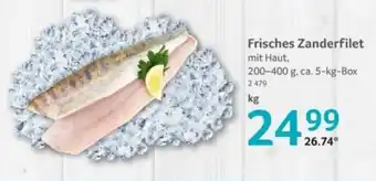 Selgros Frisches Zanderfilet Angebot