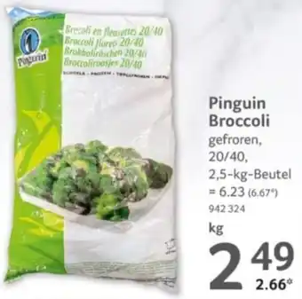 Selgros Pinguin Broccoli Angebot