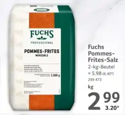 Selgros Fuchs Pommes- Frites-Salz Angebot
