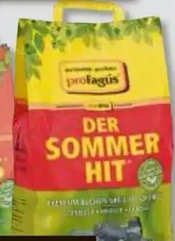 V Baumarkt Premium Buchen Grill-Holz kohle Angebot