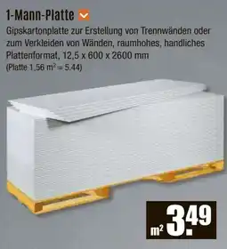 V Baumarkt 1-Mann-Platte Angebot