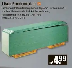 V Baumarkt 1-Mann-Feuchtraumplatte Angebot