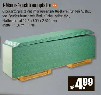 V Baumarkt 1-Mann-Feuchtraumplatte Angebot