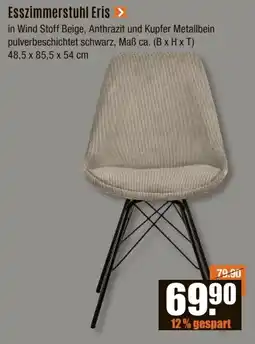 V Baumarkt Esszimmerstuhl Eris Angebot