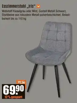 V Baumarkt Esszimmerstuhl „Iris“ Angebot