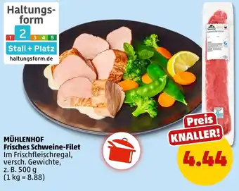 PENNY MÜHLENHOF Frisches Schweine-Filet Angebot
