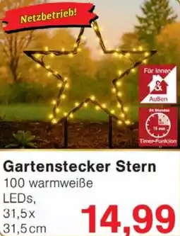 Wiglo Wunderland Gartenstecker Stern Angebot