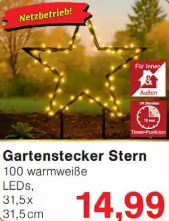 Wiglo Wunderland Gartenstecker Stern Angebot