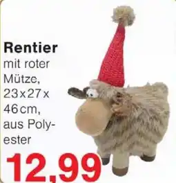 Wiglo Wunderland Rentier Angebot