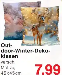 Wiglo Wunderland Outdoor-Winter-Dekokissen Angebot