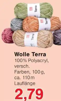 Wiglo Wunderland Wolle Terra Angebot
