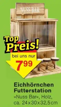 Wiglo Wunderland Eichhörnchen Futterstation Angebot
