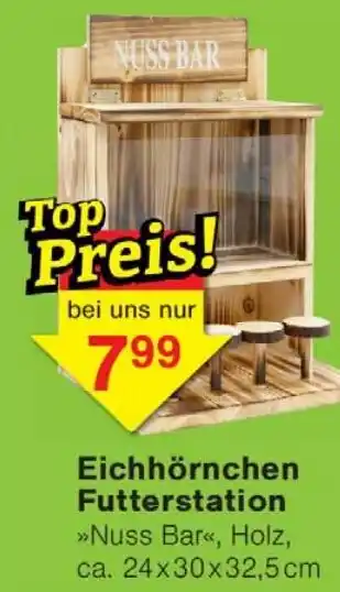 Wiglo Wunderland Eichhörnchen Futterstation Angebot