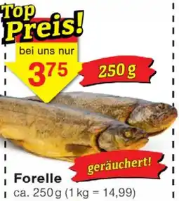 Wiglo Wunderland Forelle Angebot